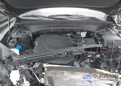 2025 Kia Telluride S from USA, damaged, VIN 5XYP6DGC3SG612078